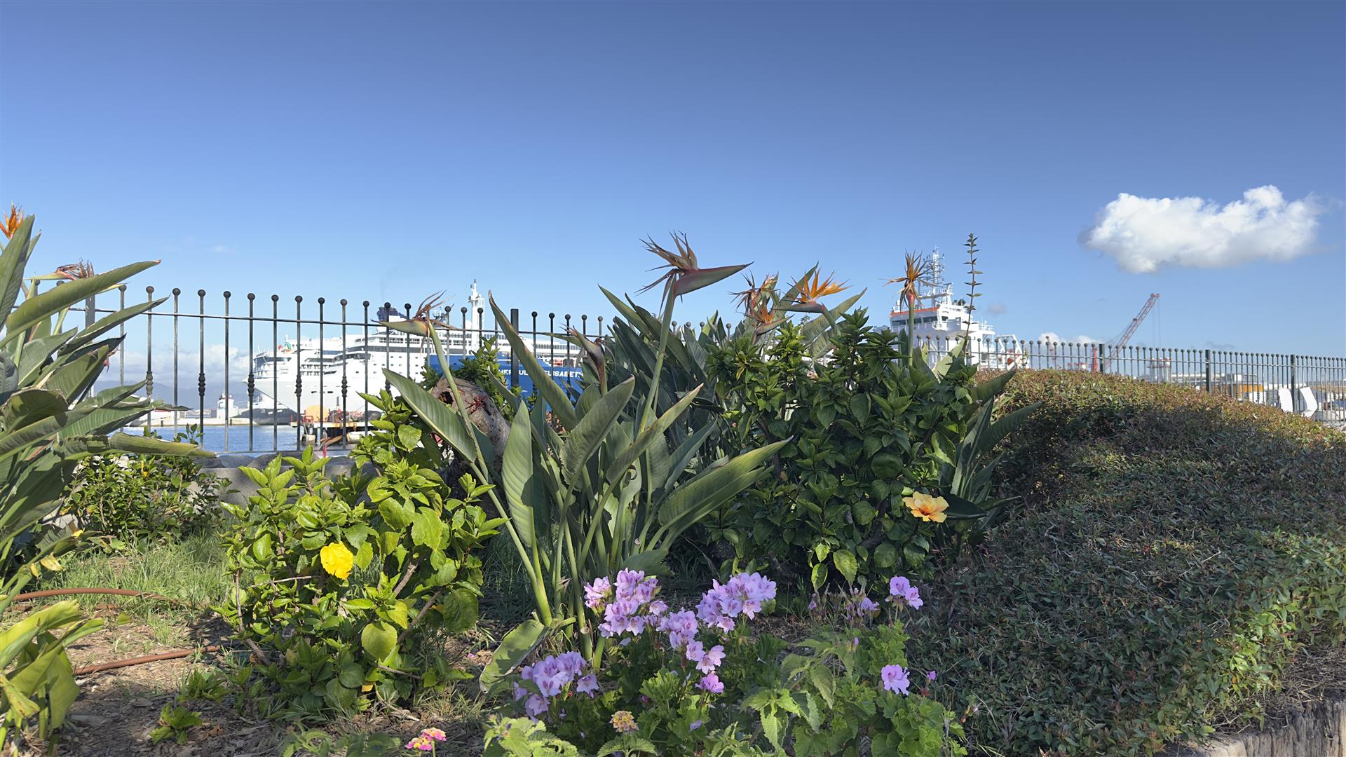  Image of Apartment - 2 Bedrooms - 1 Bathrooms for Sale in Westview Park-Gibraltar, Image 20